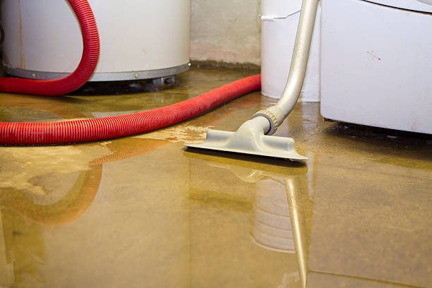 Best Residential water damage restoration  in Ruckersville, VA